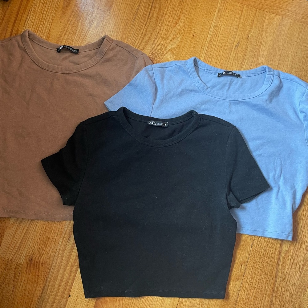 Zara cropped t shirt bundle